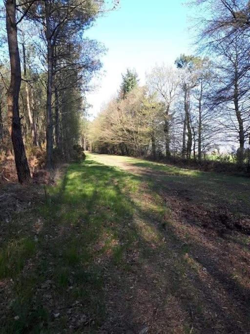 Mobil Home Au Coeur De Broceliande Paimpont Buitenkant foto